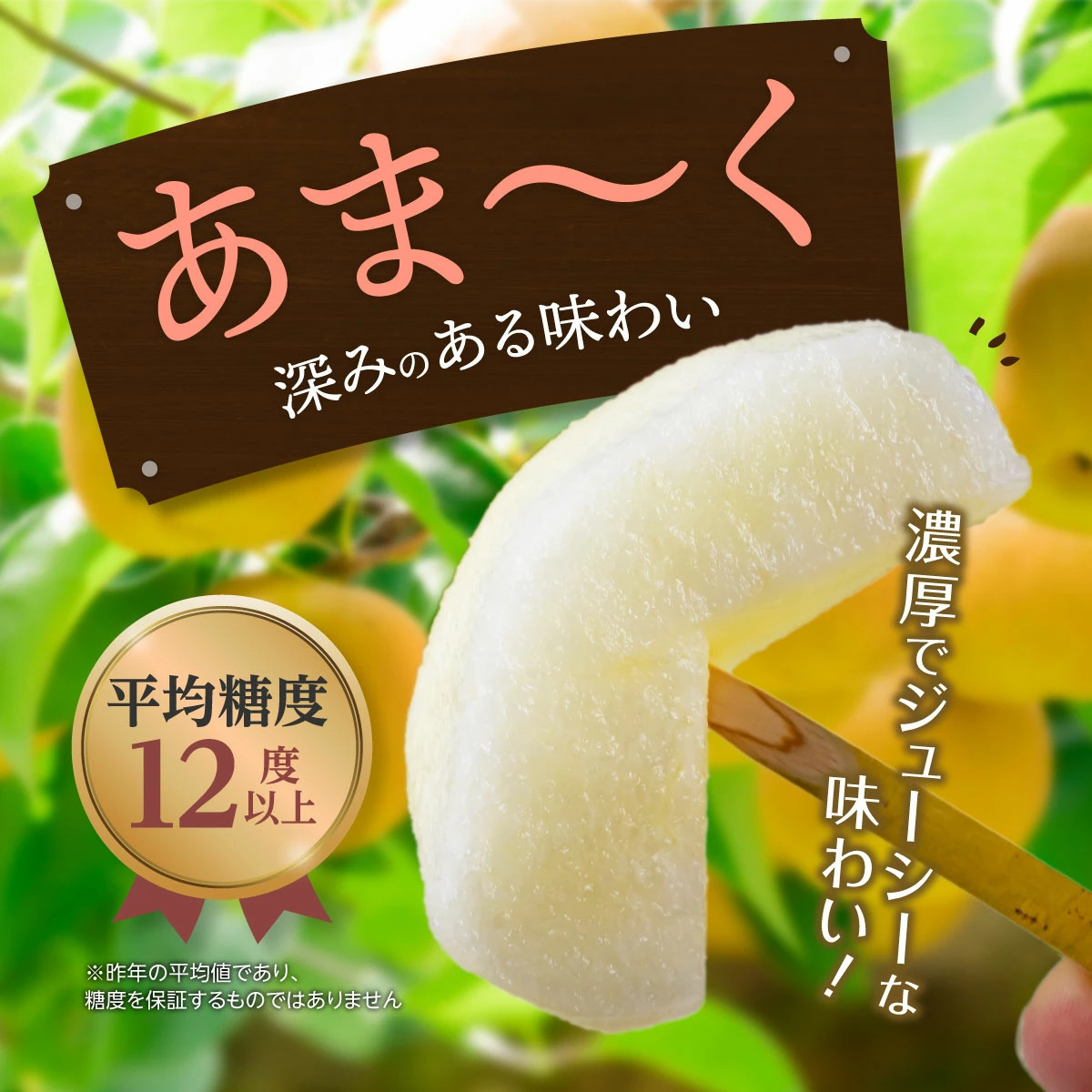 大分県日田地方の梨は、切れば果汁がしたたり落ちるジューシーな逸品!濃厚な甘味と程よい酸味、シャクシャクした食感が美味しい甘梨を、今年も産地直送でお届けいたします。