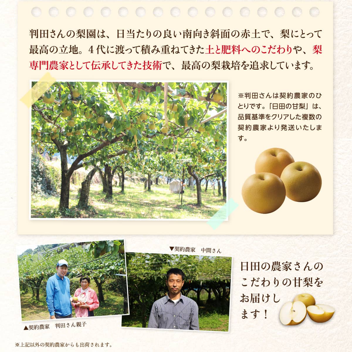 日田の農家さんのこだわりの甘梨をお届けします!