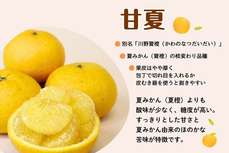 甘夏とはどのような柑橘でしょう