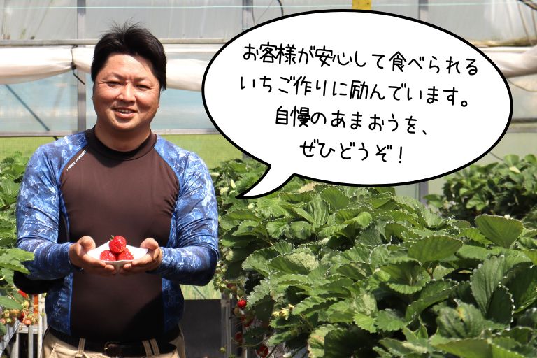 お客様からが喜んでくれることが一番嬉しいと話す石井さん。日々丁寧に栽培し厳選した美味しい苺をお届けします。
