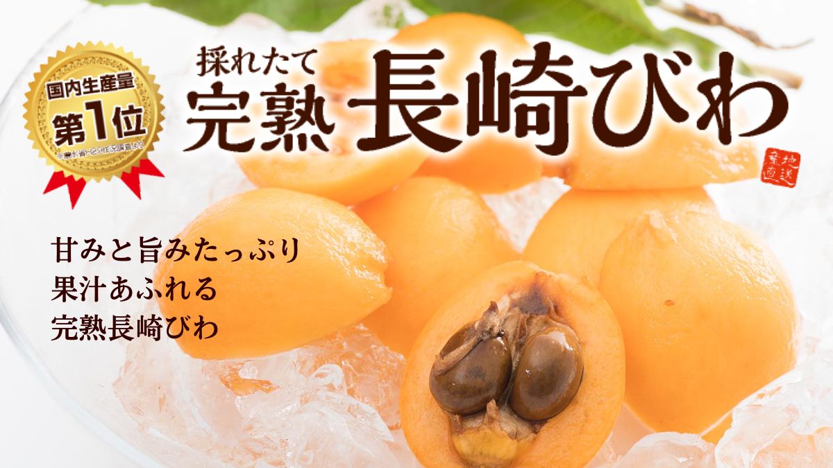 【びわ】茂木びわなど旬の長崎完熟びわを名産地より通販でお届け