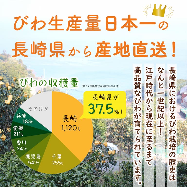 びわ生産量日本一の長崎県から産地直送!