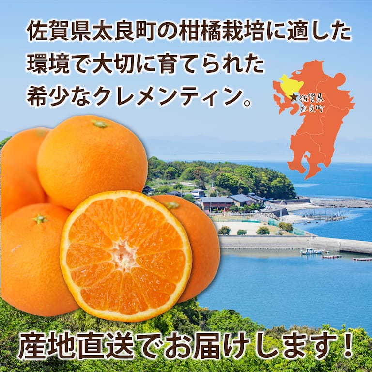 大切に育てられたクレメンティンを、産地直送でお届けします