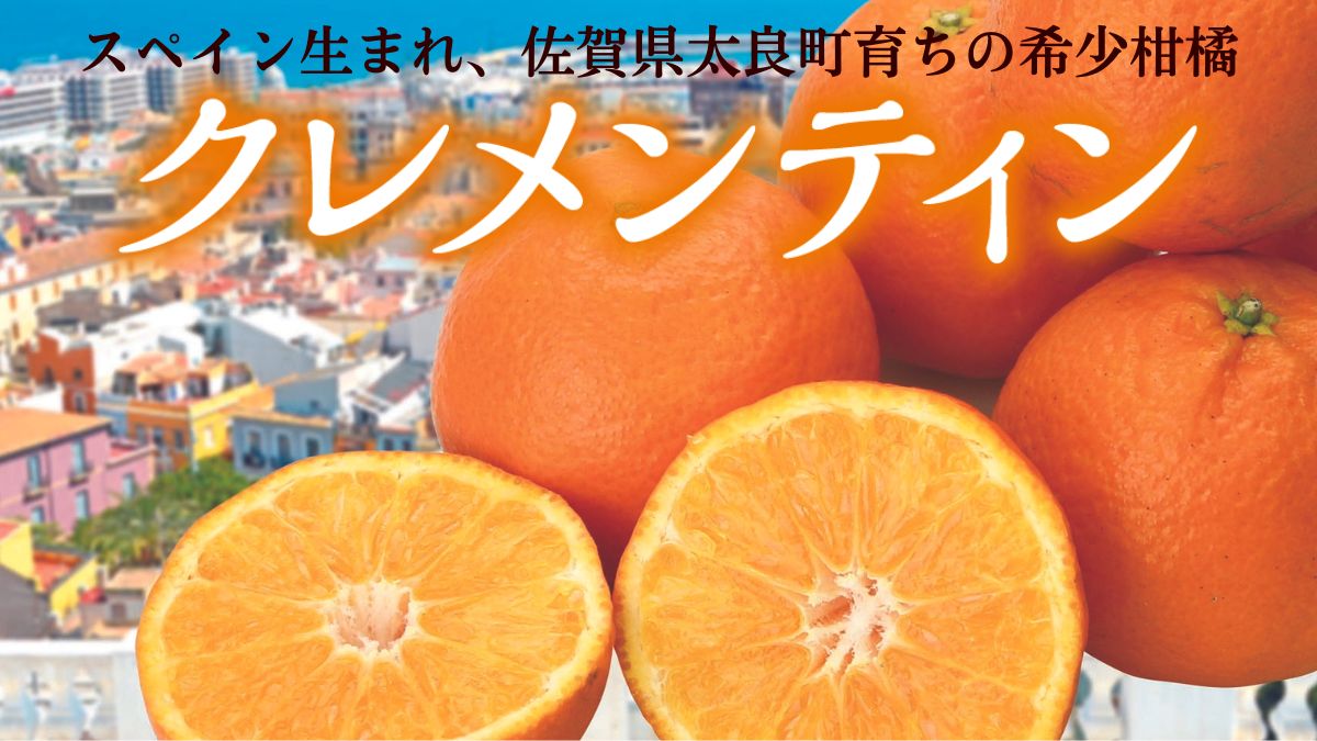 佐賀県産 クレメンティン
