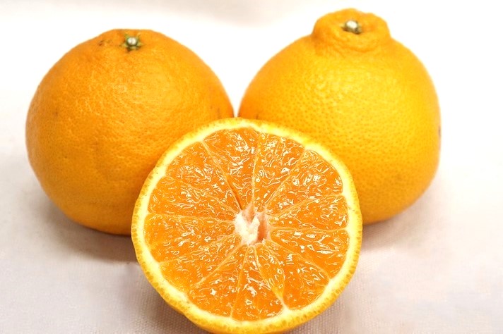 不知火ってどんな柑橘?