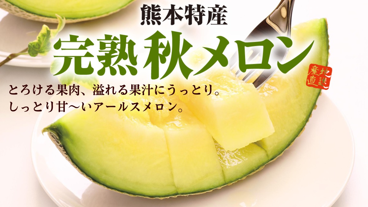 熊本県産「完熟 秋メロン」アールスメロン