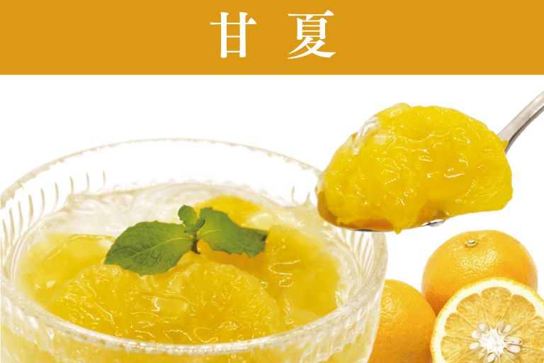 熊本県産 甘夏ゼリー
