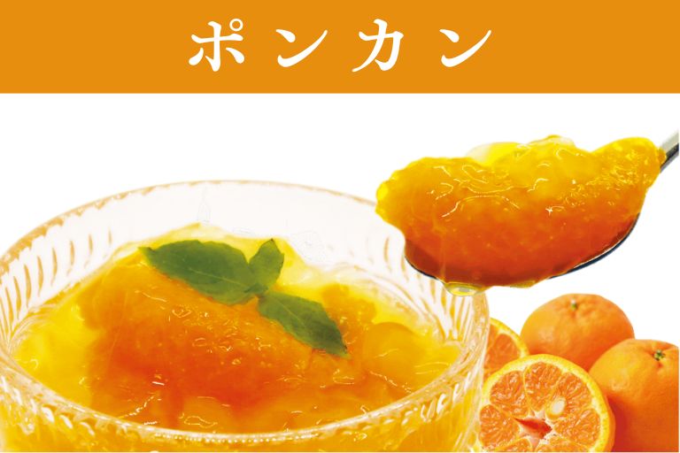 九州産 ポンカンゼリー
