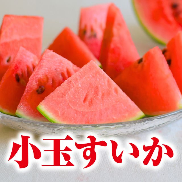 熊本県産 小玉すいか