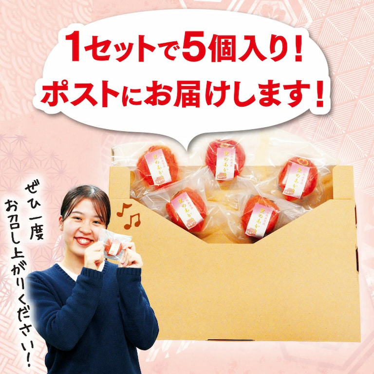 一粒干し柿「里のあかり」1セット5パック入りでお届けします