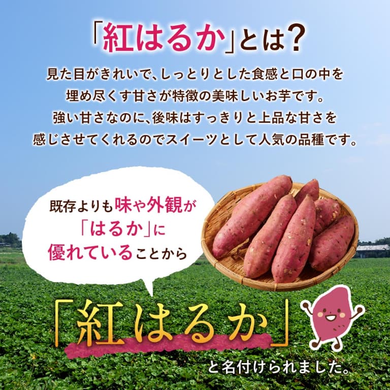 紅はるかとは