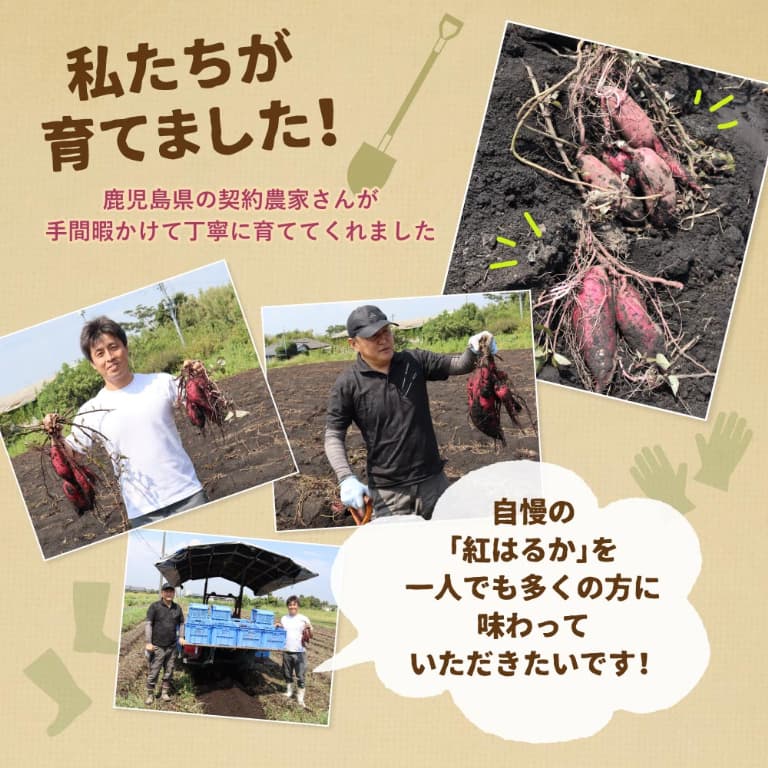 鹿児島の農家さんと紅はるか
