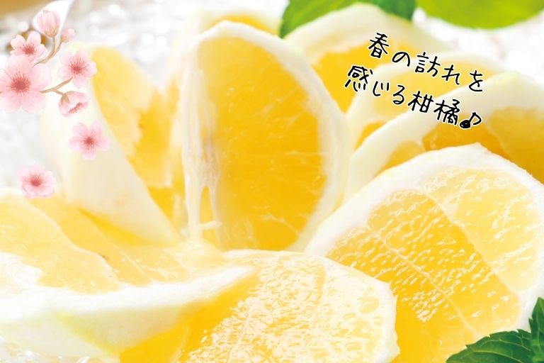 プルプルのゼリーのような果肉はスッキリジューシーな味わい
