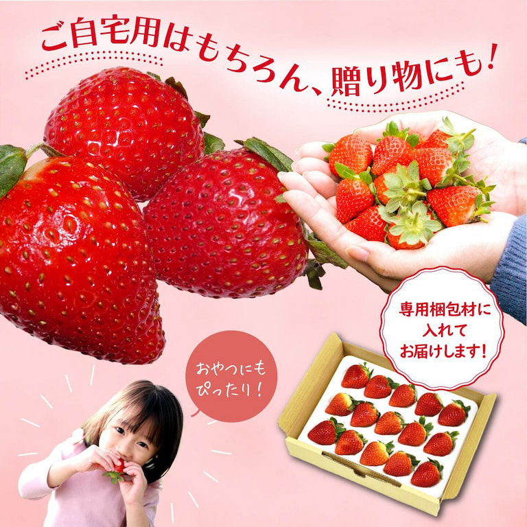 いちごさんは贈り物としても喜ばれます