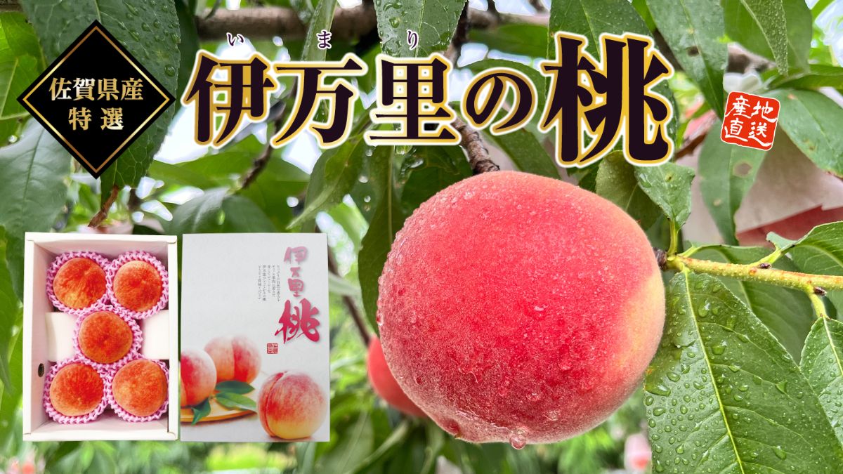 伊万里の桃