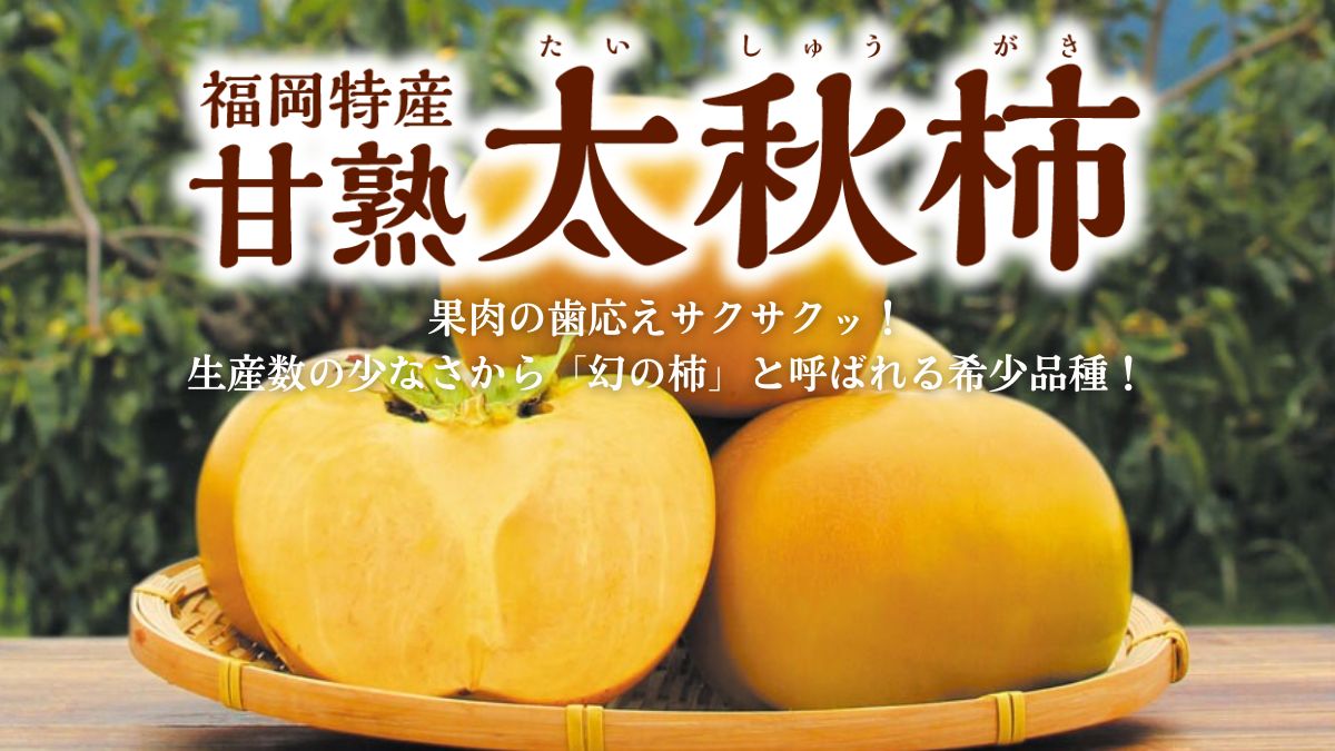 【太秋柿】旬の時期に名産地福岡県より通販でお届けします。「幻の柿」と呼ばれる希少品種！