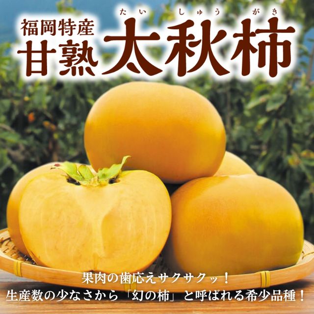 甘熟 太秋柿
