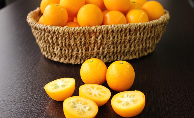 大粒で皮ごと甘~い!大粒の高級きんかん「うめっちゃが」
