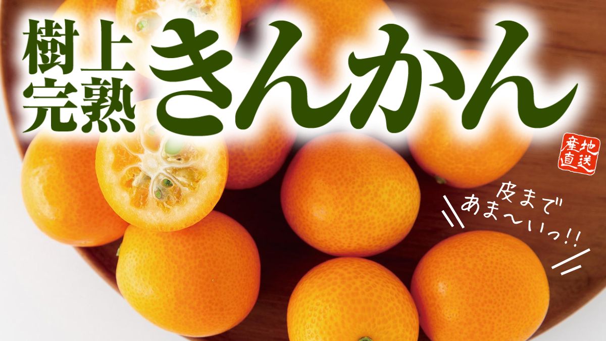 宮崎県産 樹上完熟 きんかん