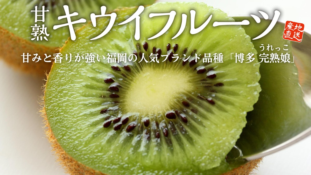 【国産キウイ】キウイフルーツの名産地、福岡県産「博多 甘熟娘(うれっこ)」をお取り寄せ