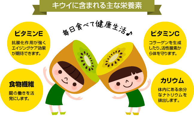 栄養分が豊富なキウイ。食物繊維が多く含まれているので便秘解消にも効果期待できます。