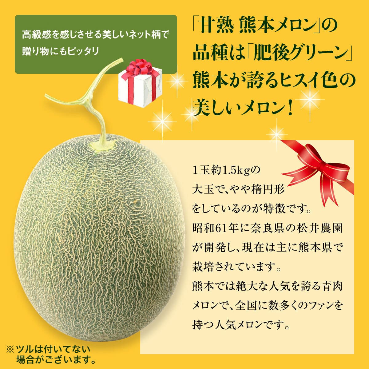 メロン生産量九州一位の熊本県で収穫された旬の青メロンを産地直送でお届けします。