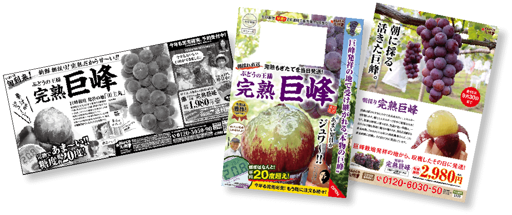 毎年新聞やチラシで案内するたびに、早期完売の完熟巨峰!まるかじり九州の一大人気フルーツです!