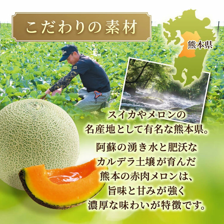 熊本県産の厳選したこだわりの赤肉メロンを使用
