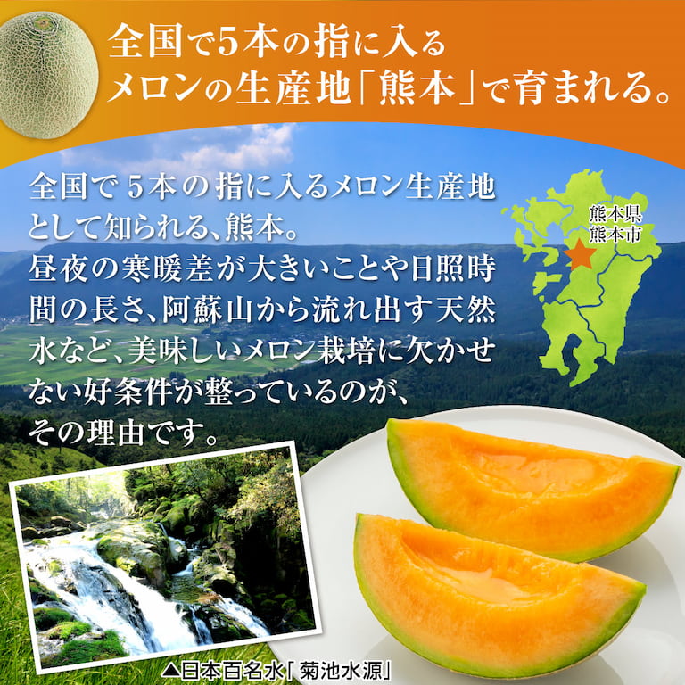 全国有数のメロンの名産地、熊本から産地直送でお届け