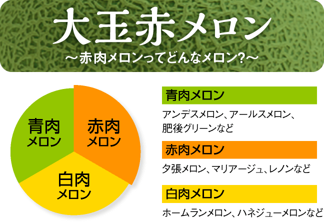 赤肉メロンってどんなメロン?赤肉メロン、青肉メロン、白肉メロンの違いを大公開。あなたの好みの舐瓜(めろん)を選びましょう。