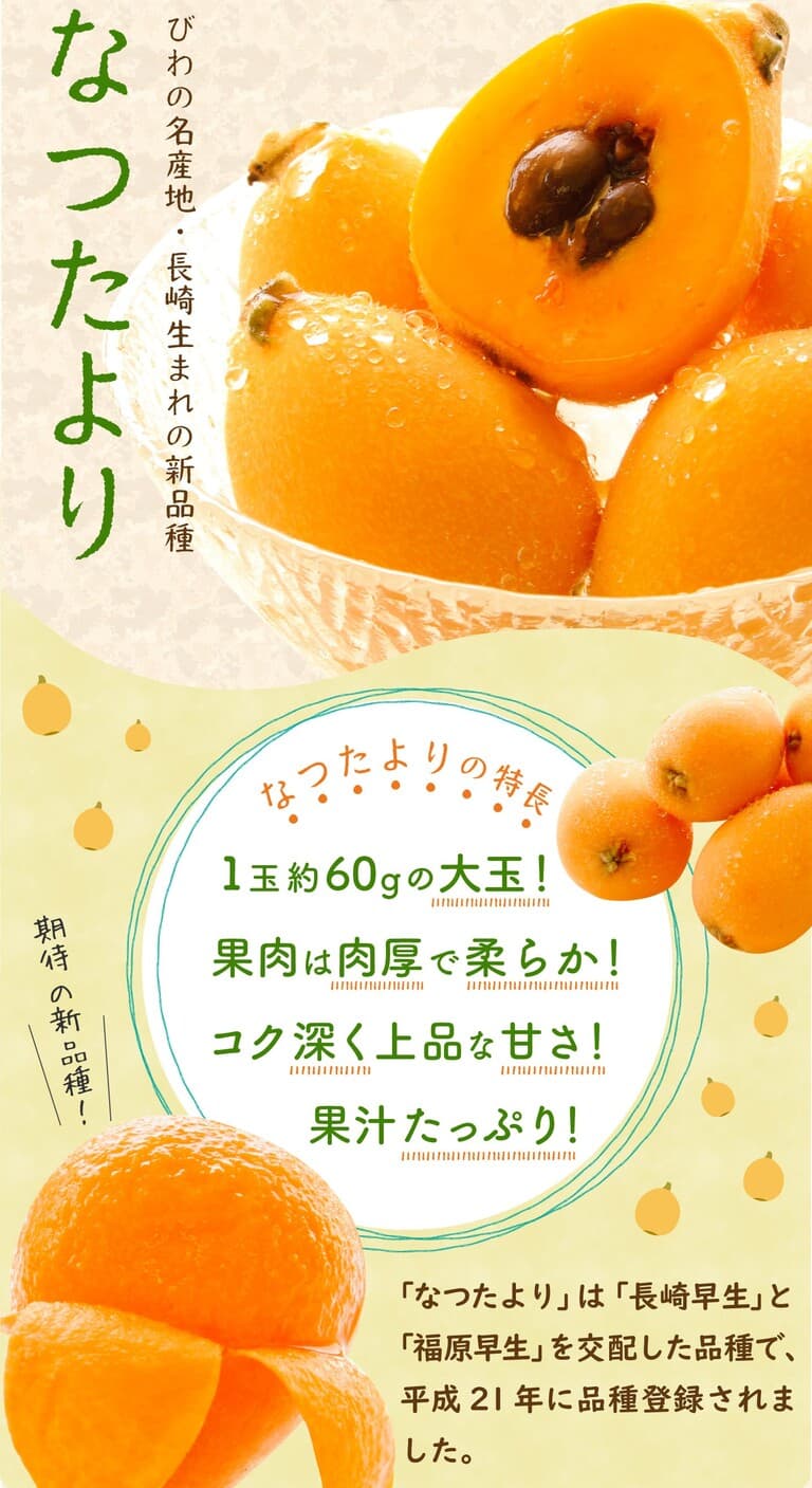 長崎の新品種・なつたより