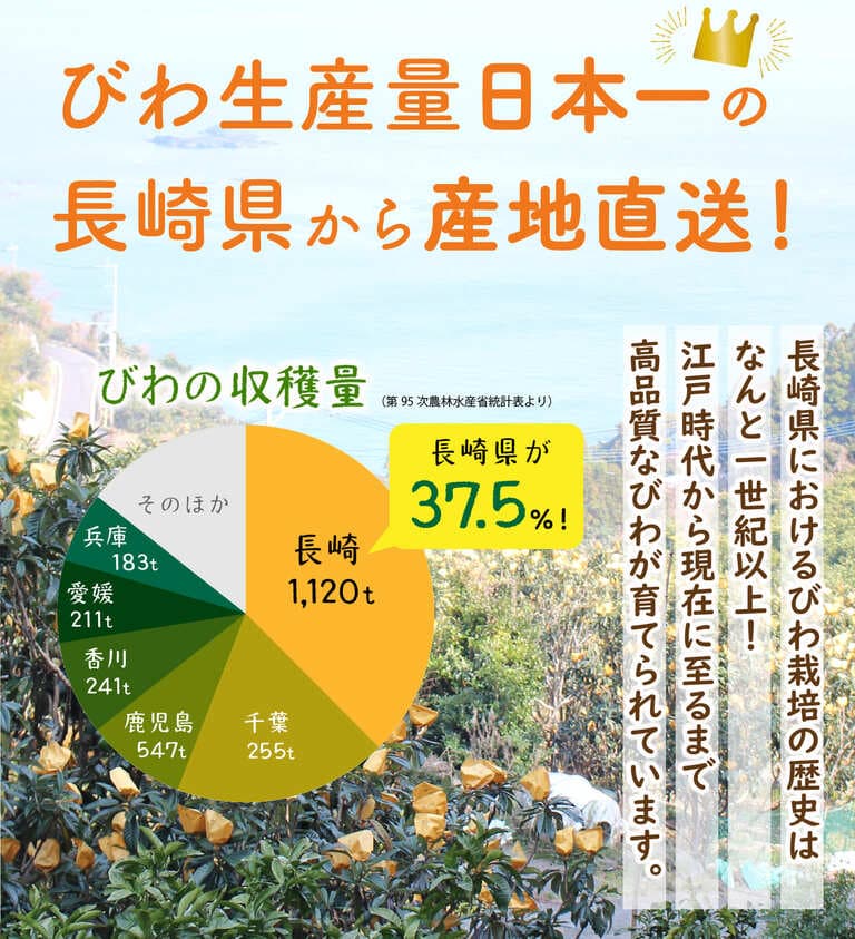 長崎県から産地直送