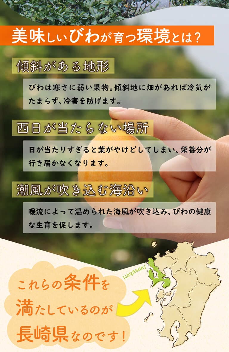 美味しいびわが育つ長崎の環境とは