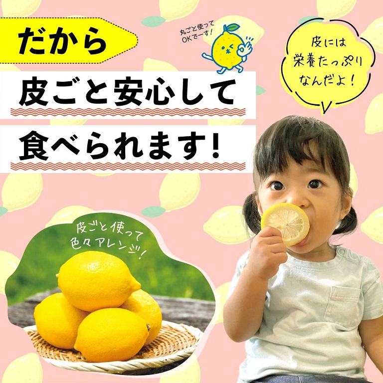 有機栽培だから小さいお子様が食べても安心!お子様のスポーツの後にレモンの砂糖漬けなどにもご活用ください!