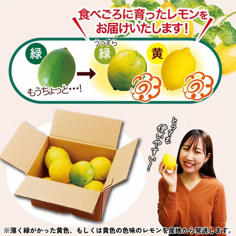 有機栽培レモン,オーガニックレモン