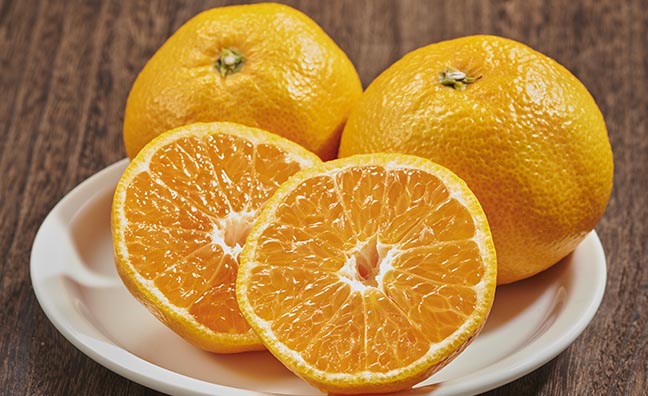 九州が誇る柑橘類の名産地から、食べ頃を迎えた温州みかんをお届けします。