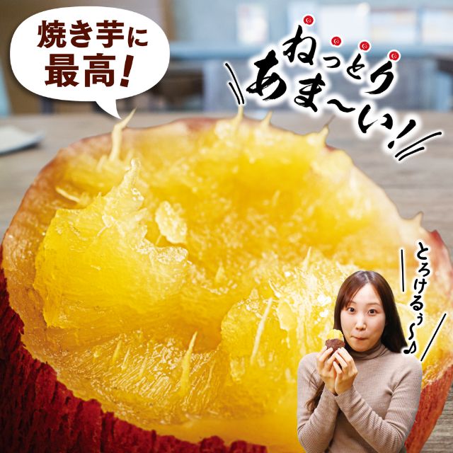 シルクのような滑らかな食感と上品な甘さが特徴のさつまいも「シルクスイート」を産地直送