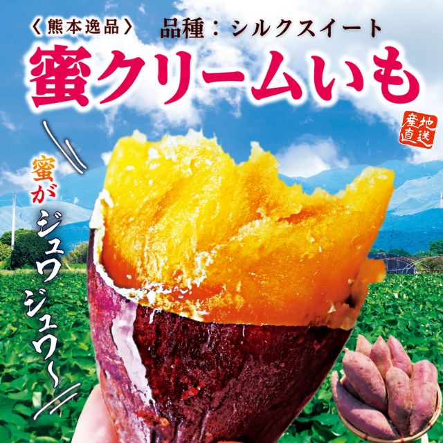シルクスイート