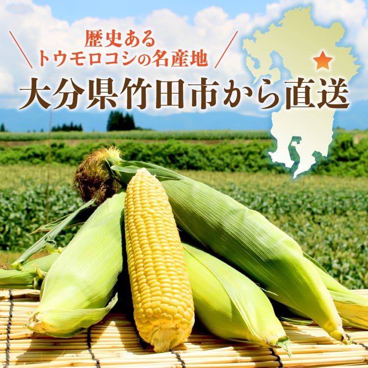 全国指折りのコーン生産地・大分県竹田市菅生地区