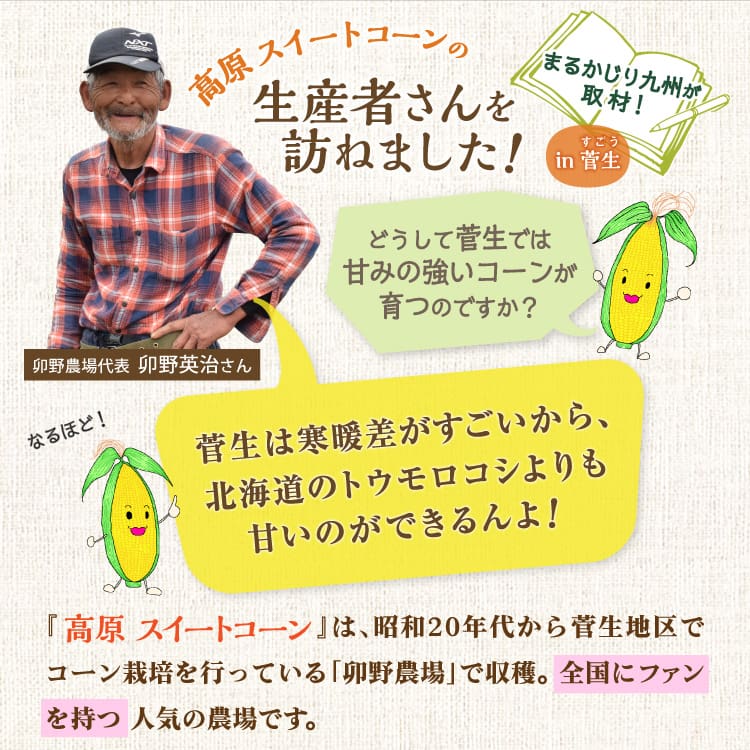 高原スイートコーンの生産者さんを訪ねました