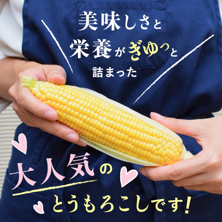 高原スイートコーンの生産者さんを訪ねました