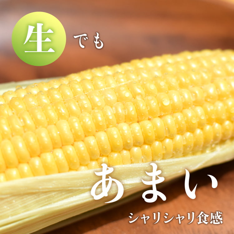 生でも甘い高原スイートコーン
