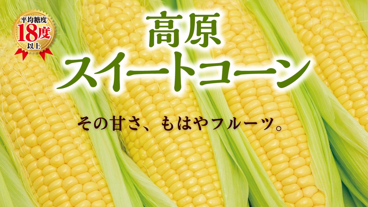 高原スイートコーン