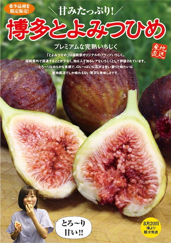 DMやチラシでご好評をいただいております。
