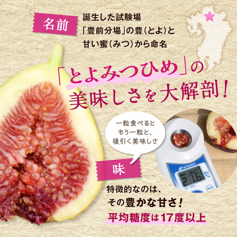 とよみつひめの美味しさを大解剖