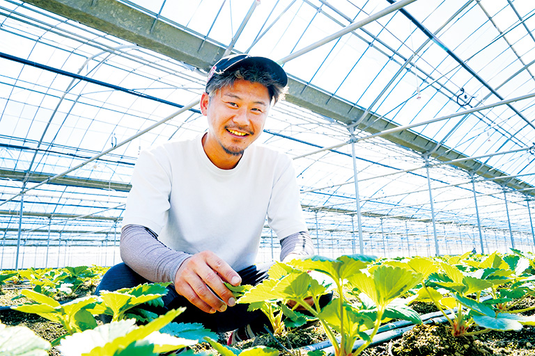 「ゆうべに」に込められた農家さんの熱い想い