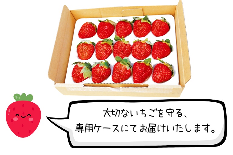 ゆうべには、いちご専用ケースにてお届けいたします