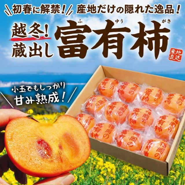 福岡県産「蔵出し　富有柿」（Sサイズ約2kg）