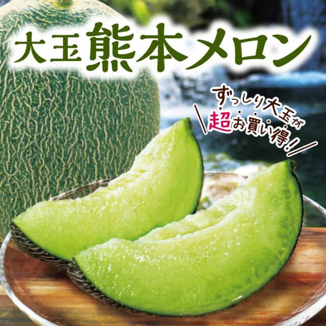 熊本県産「熊本メロン」肥後グリーン（1玉約1.5ｋｇ）