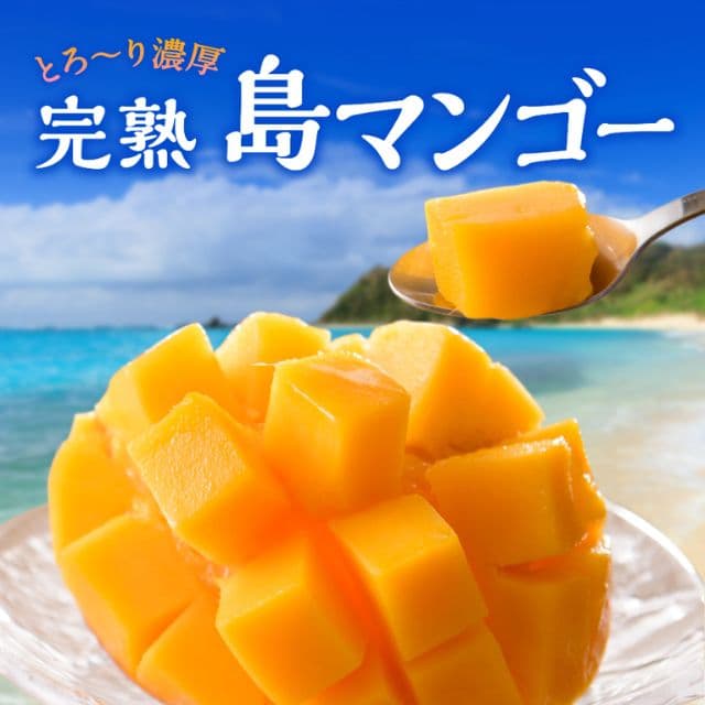 鹿児島県産「完熟 島マンゴー」（約1kg）